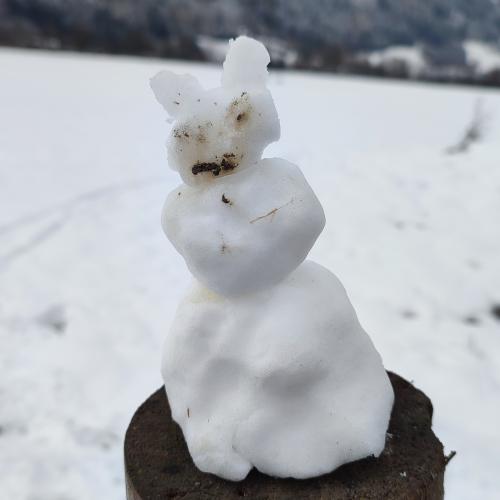 Sport im Schnee BSM 1ac