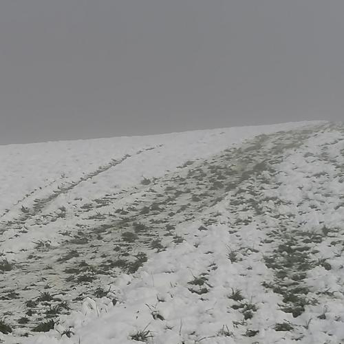 Sport im Schnee