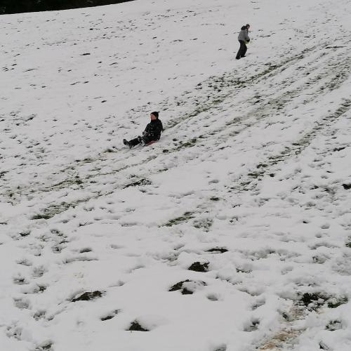 Sport im Schnee - 3ac23