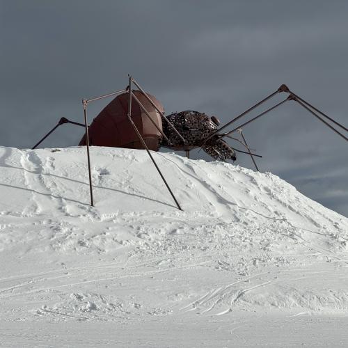 Skiwoche 2. Klassen 2024_25