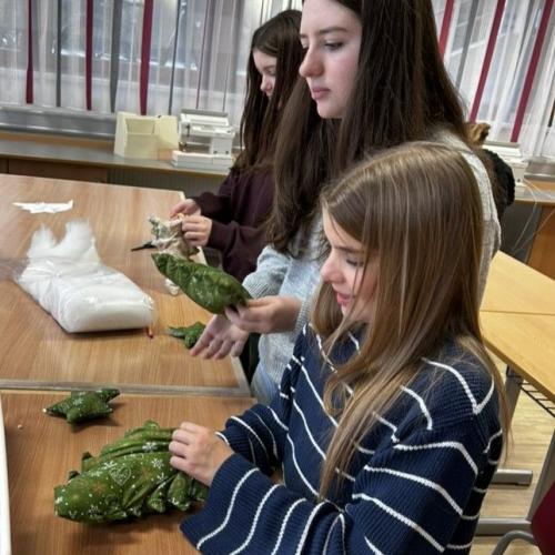 2025_26_Weihnachtsbäume